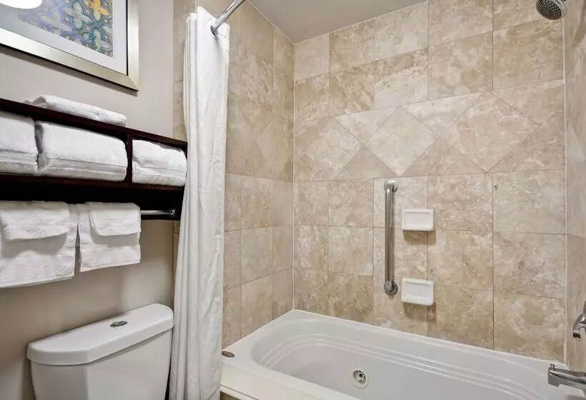 酒店 Homewood Suites By Hilton Dallaslewisville