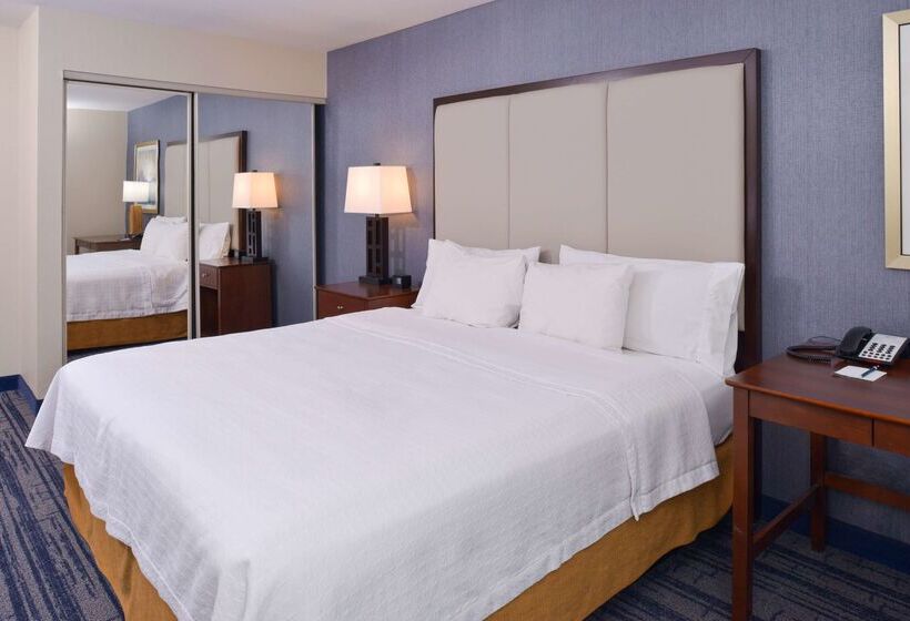 Отель Homewood Suites By Hilton Dallaslewisville