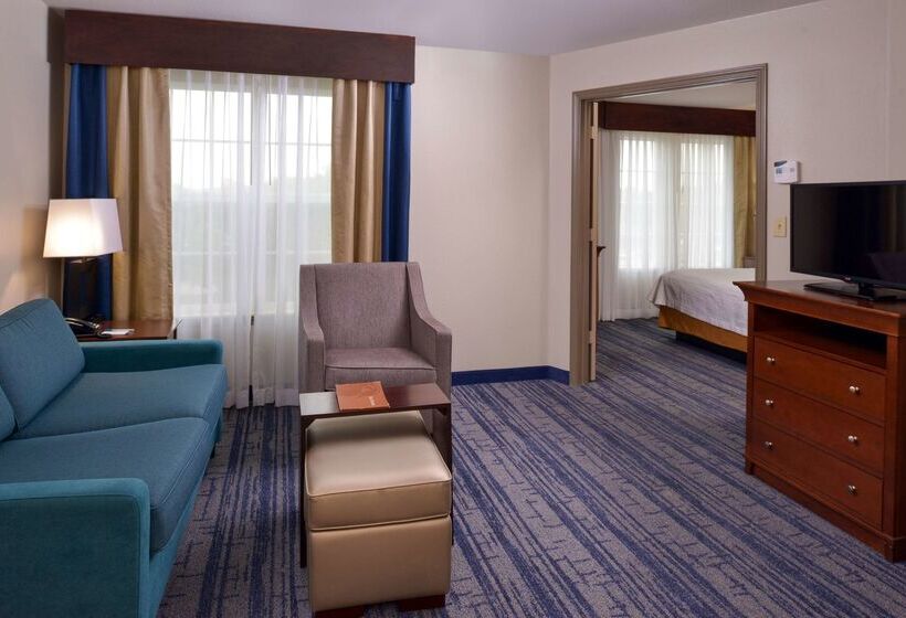 Отель Homewood Suites By Hilton Dallaslewisville
