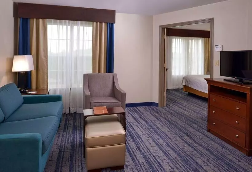 酒店 Homewood Suites By Hilton Dallaslewisville