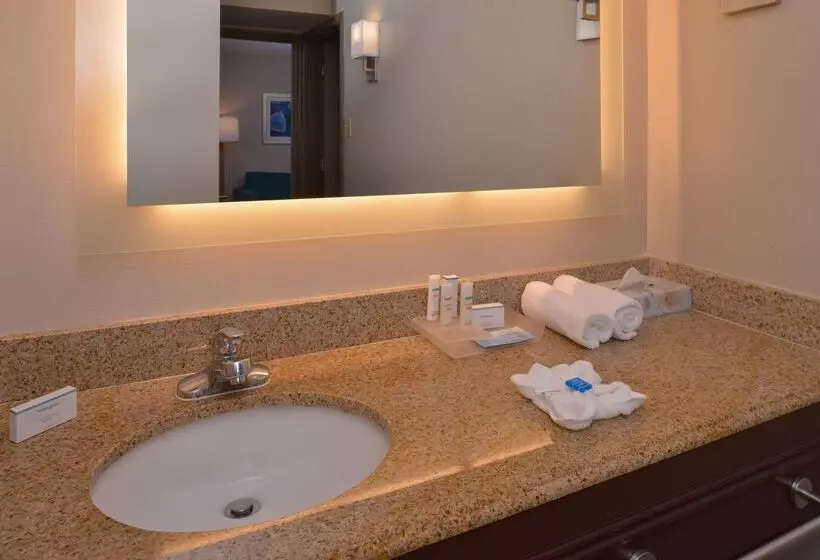 酒店 Homewood Suites By Hilton Dallaslewisville