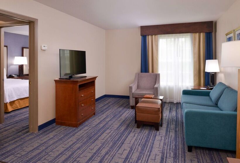 Отель Homewood Suites By Hilton Dallaslewisville