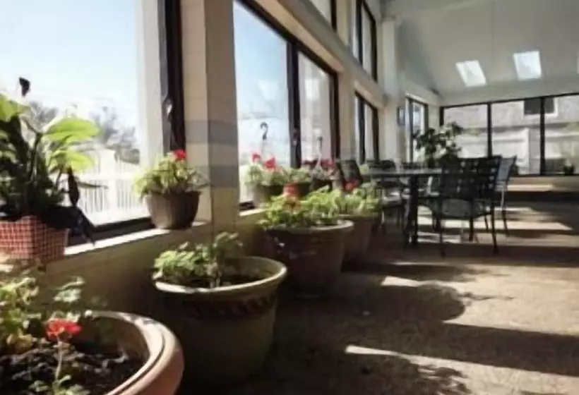 호텔 Hyannis Travel Inn