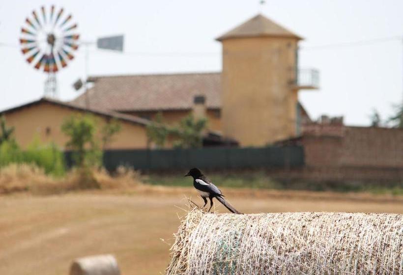 فندق Il Granaio Del Pavone