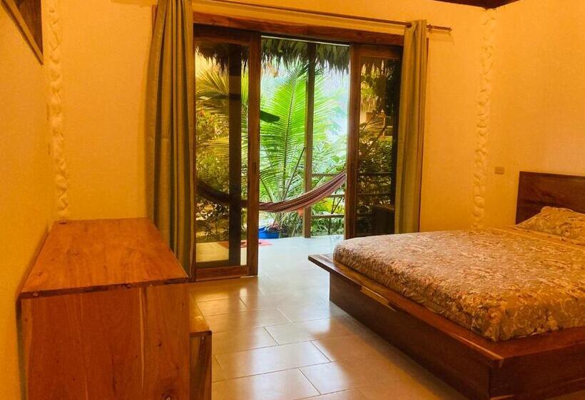 فندق La Costa International