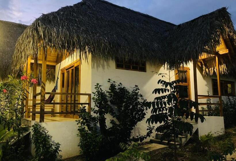 فندق La Costa International