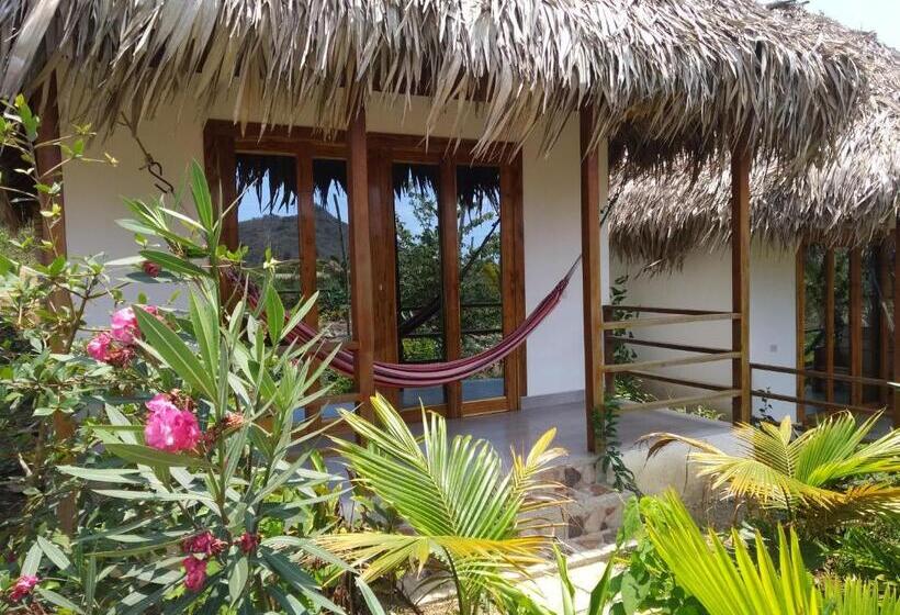 فندق La Costa International