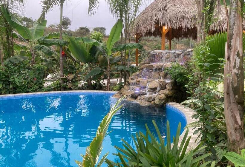 فندق La Costa International