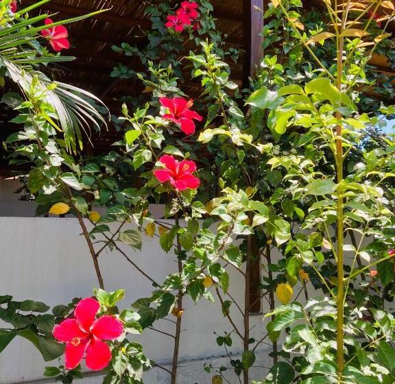 فندق La Costa International