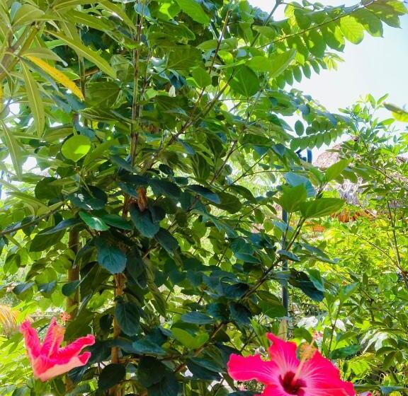 فندق La Costa International