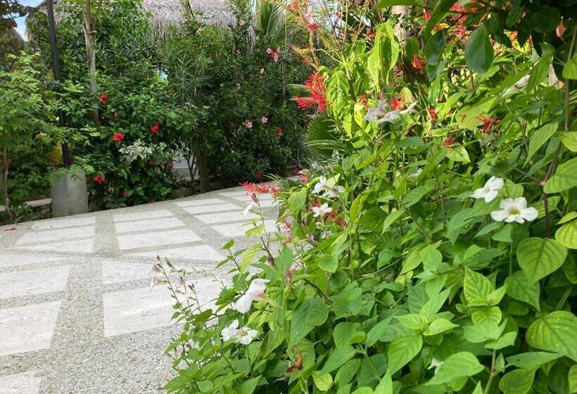 فندق La Costa International