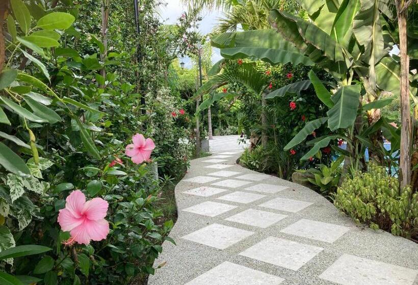 فندق La Costa International