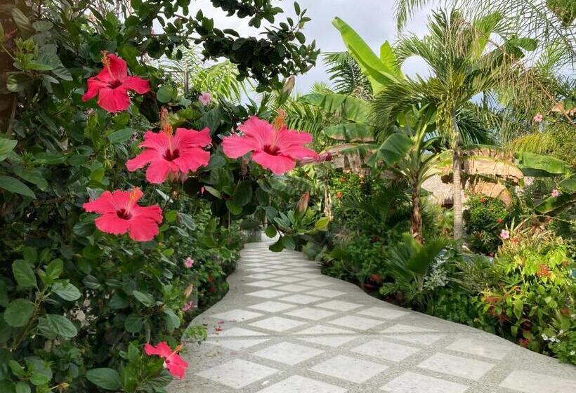 فندق La Costa International