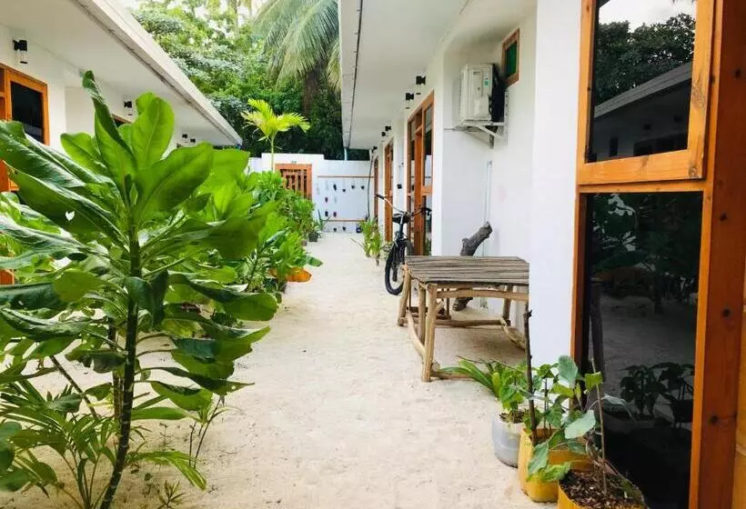 هتل White Tern Maldives