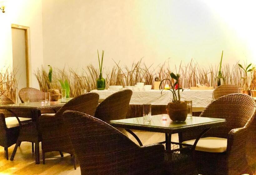 فندق White Tern Maldives