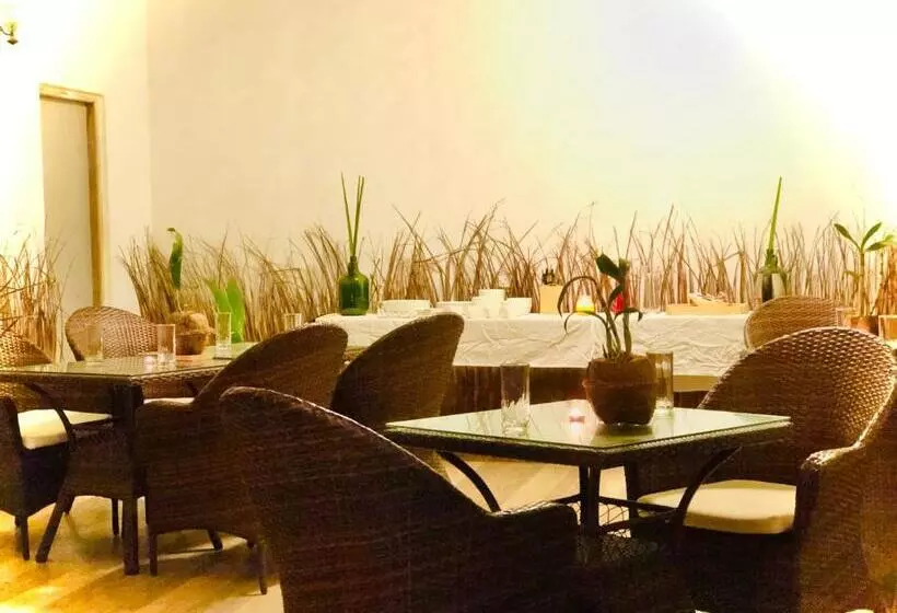 هتل White Tern Maldives