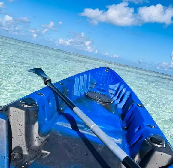 هتل White Tern Maldives