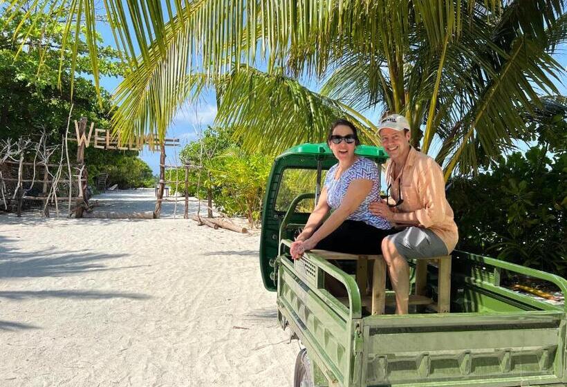 فندق White Tern Maldives