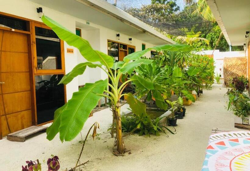 فندق White Tern Maldives
