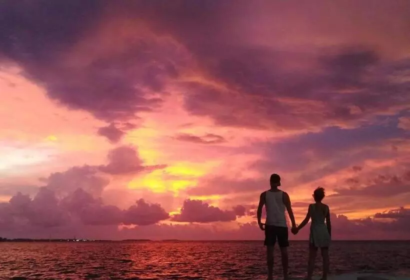 هتل White Tern Maldives