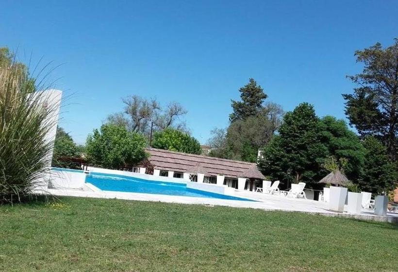 فندق صغير Radio