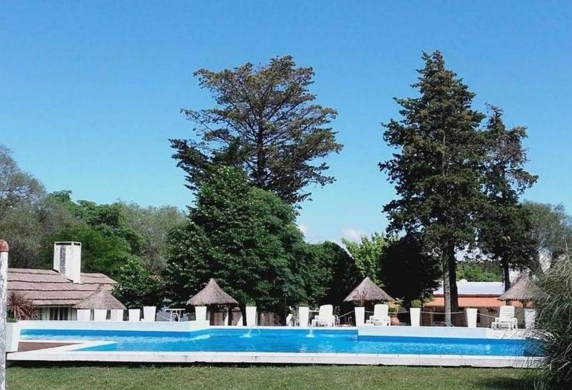 فندق صغير Radio