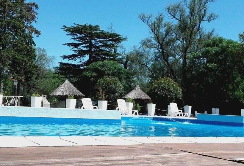 فندق صغير Radio