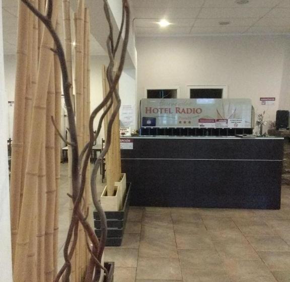 فندق صغير Radio