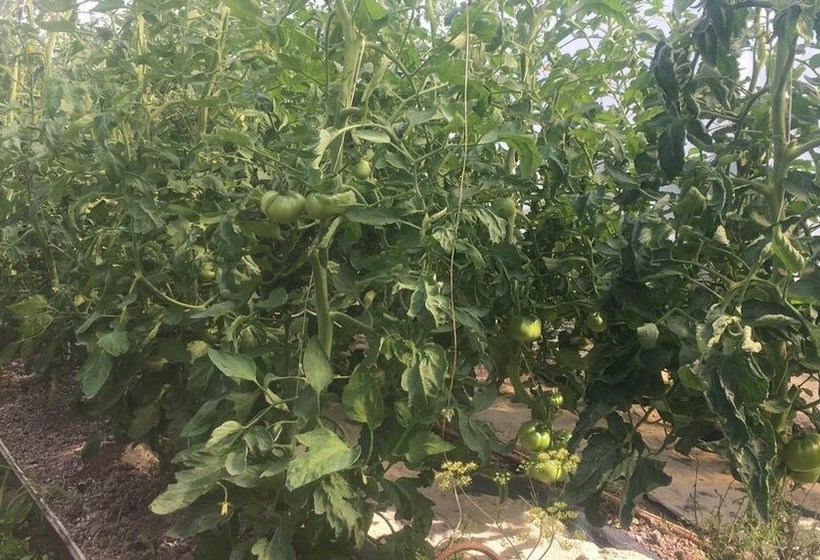 Apartamentos Jesús Para 4 Personas