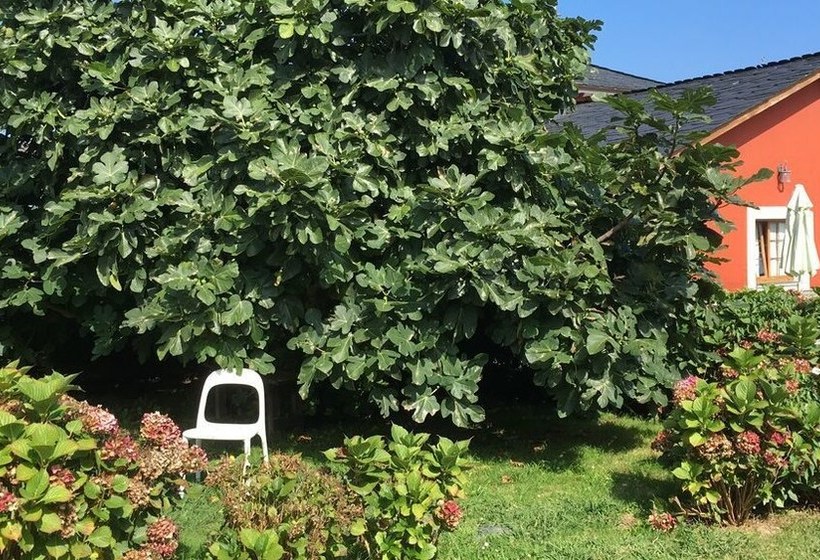 Apartamentos Jesús Para 4 Personas