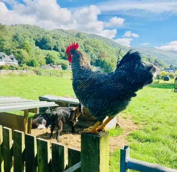 Highland Croft B&b