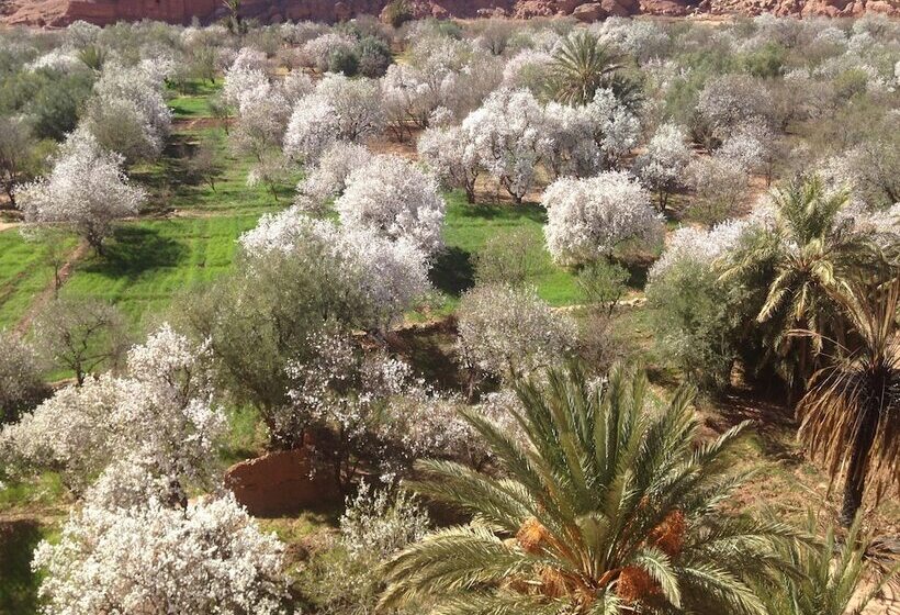 Хостел Kasbah Titrit