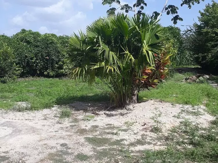 ホテル Centro Ecoturistico Rio Chuc Tej