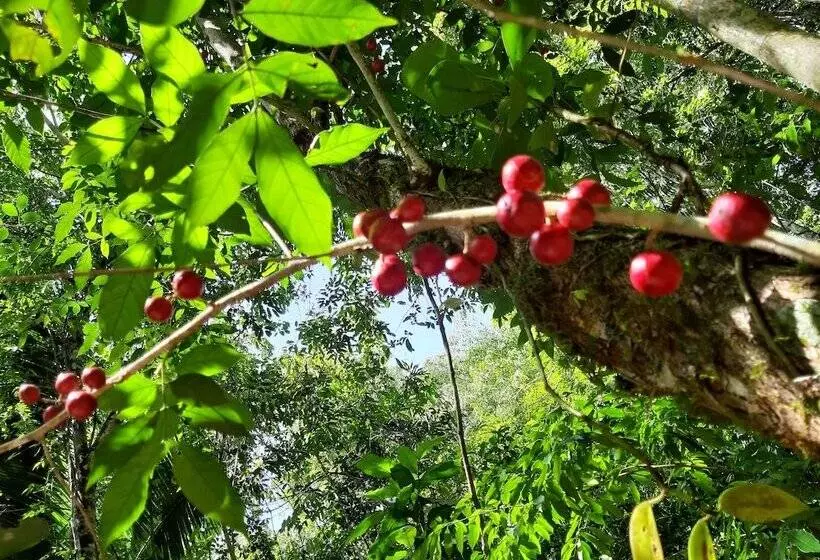 ホテル Centro Ecoturistico Rio Chuc Tej