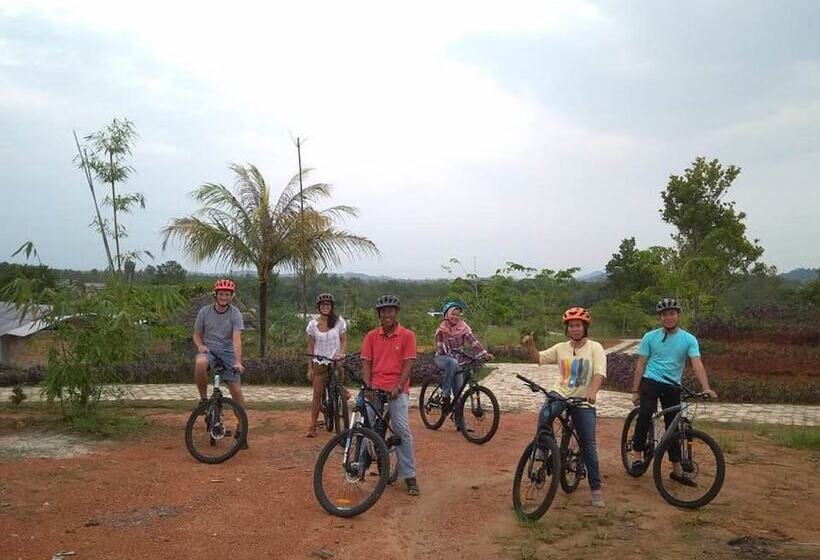 Szálloda D Bamboo Kamp