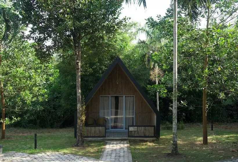 Hotelli D Bamboo Kamp