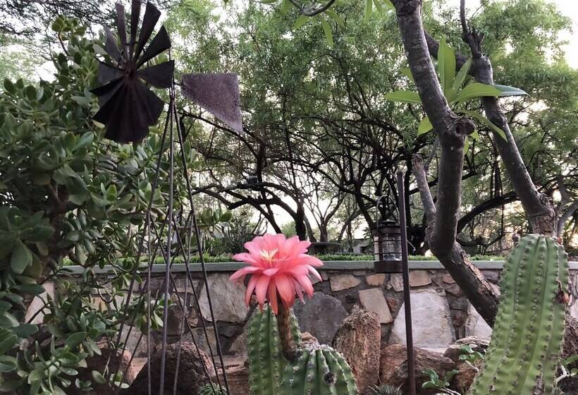 בית מלון כפרי Essence Villa Greater Kruger