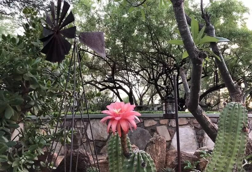 ホテル Essence Villa Greater Kruger