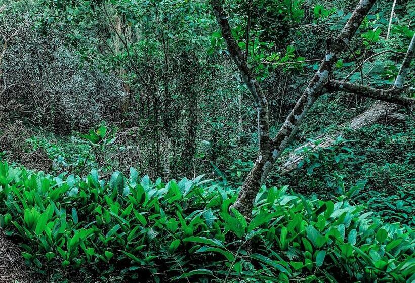 فندق Hughome Valley Chiangdao