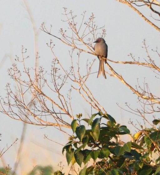 فندق Hughome Valley Chiangdao
