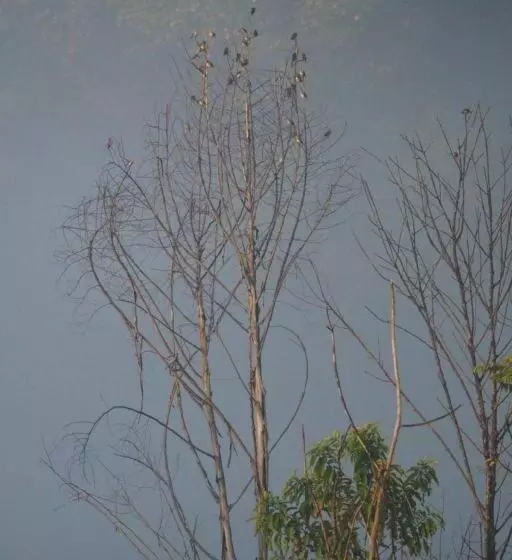 Hotelli Hughome Valley Chiangdao