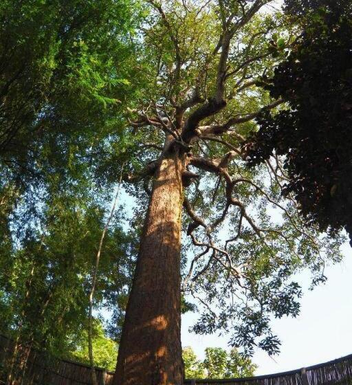 فندق Hughome Valley Chiangdao