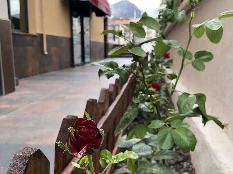 Kehribar Otel & Cafe Restaurant