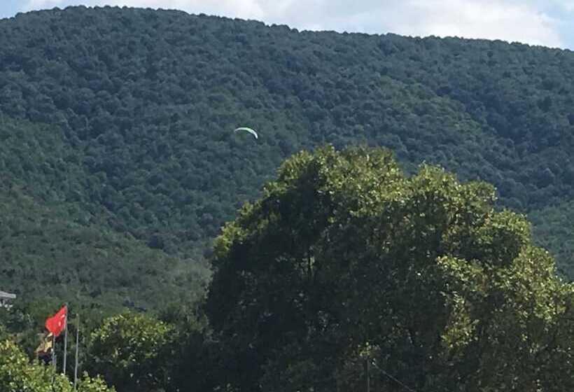 Pasha Boutique Apart