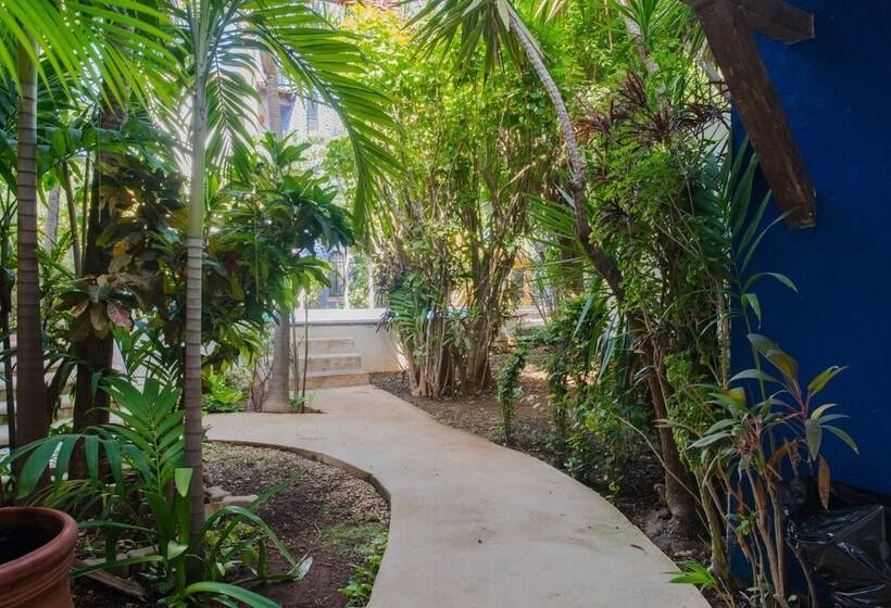 Hacienda Del Carmen Condominium By Chezplaya