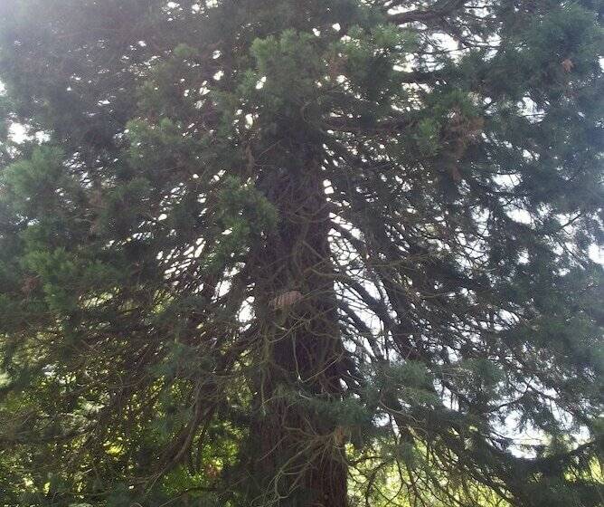 펜션 Le Domaine De Jaugy