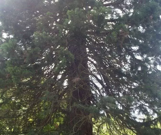 Majatalo Le Domaine De Jaugy