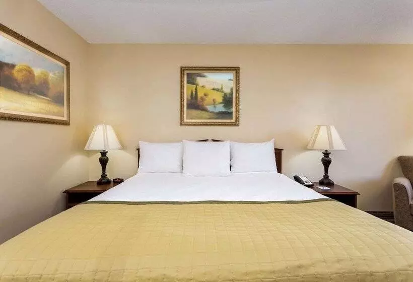 ホテル Baymont By Wyndham Easley/greenville