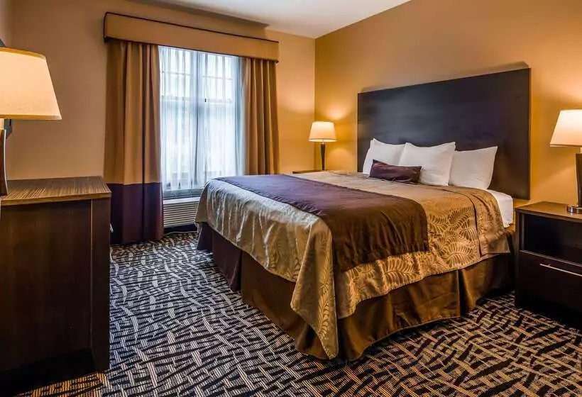 هتل Best Western Plus The Inn & Suites At The Falls