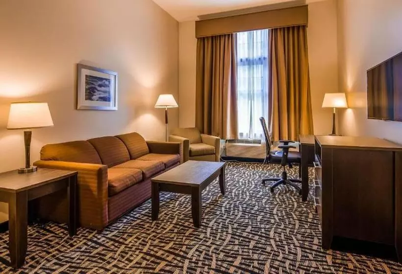 هتل Best Western Plus The Inn & Suites At The Falls